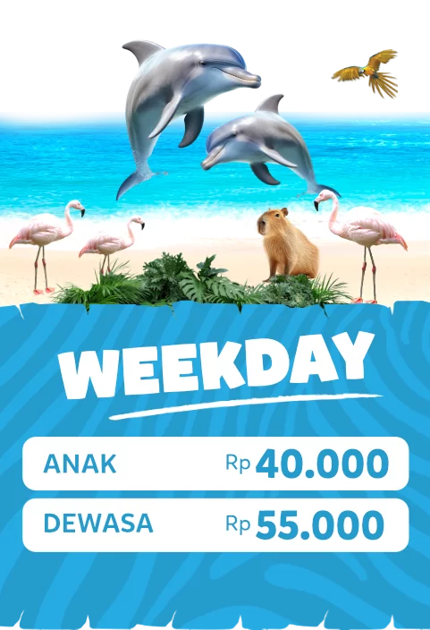 WEEKDAY FLYER HOME TICKET