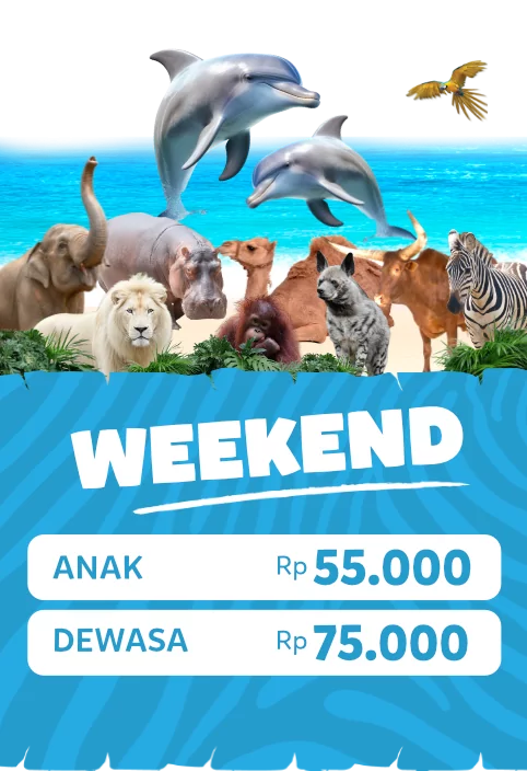 WEEKEND FLYER HOME TICKET