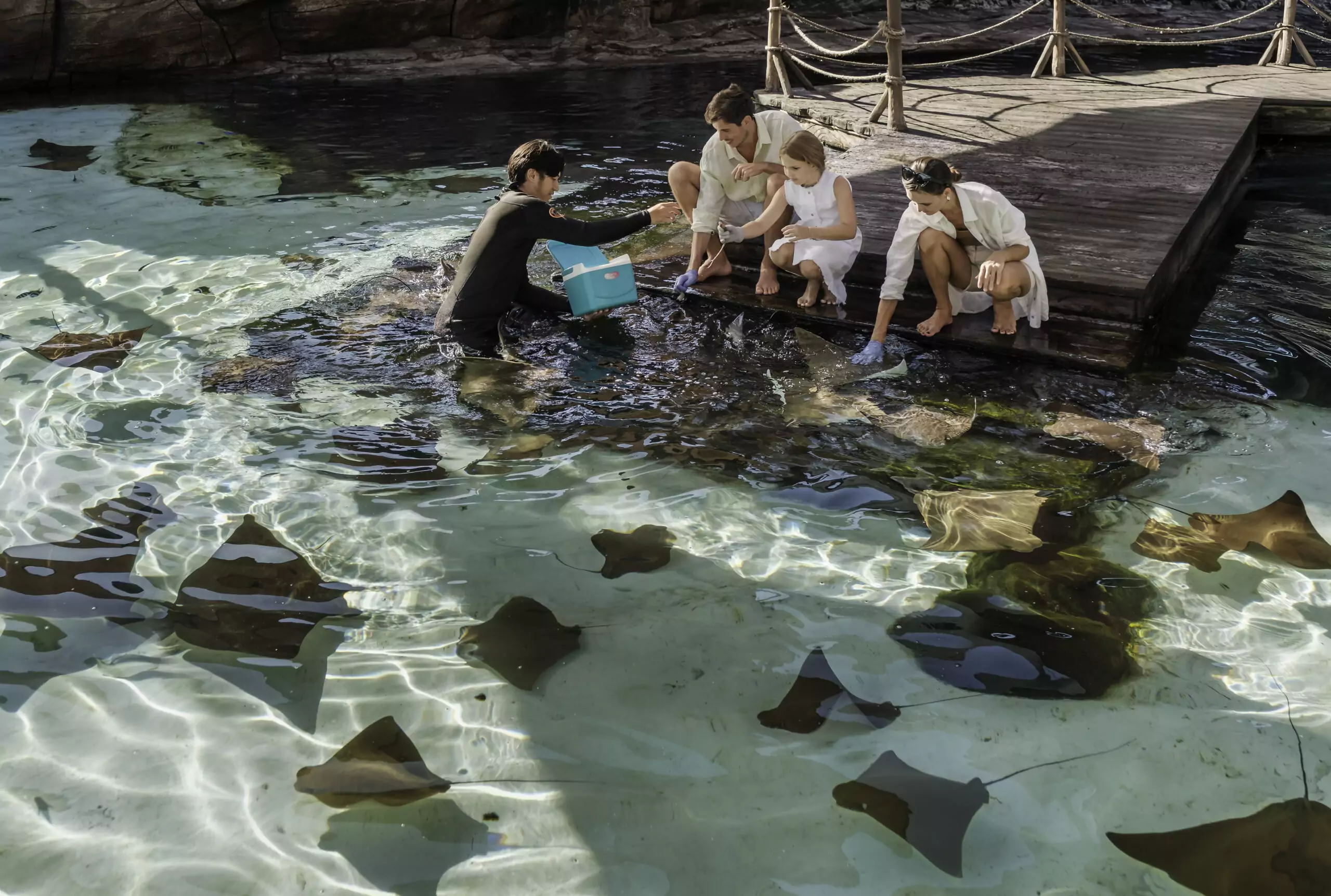 Ray Feeding Experience KV