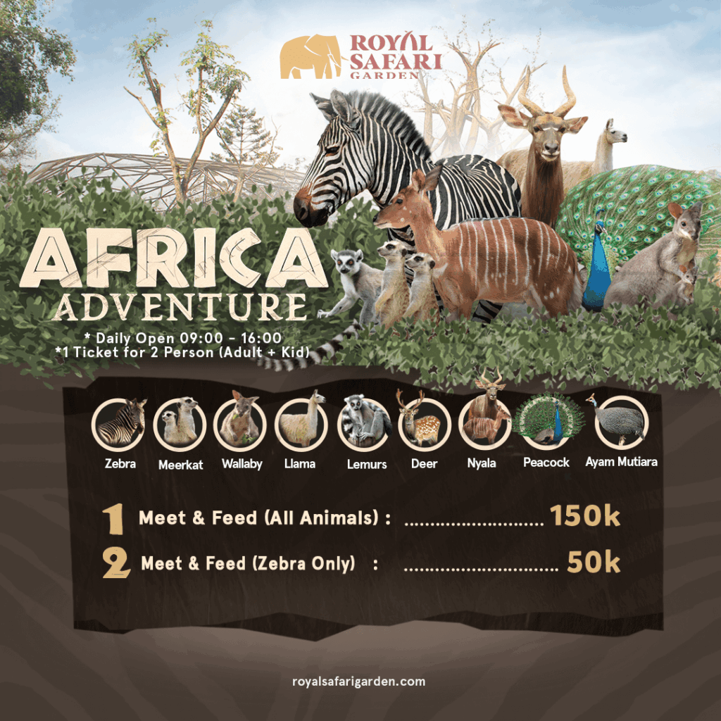 Africa Adventure Kotak