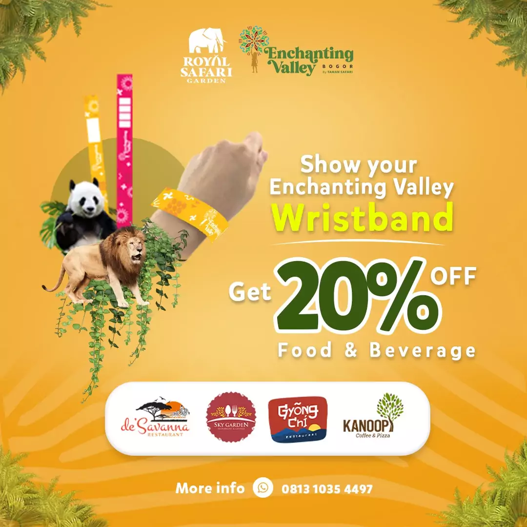 Diskon 20 Gelang EV Kotak