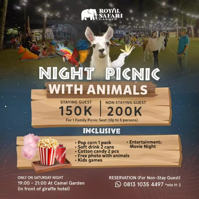 picnic with llama new kotak 768x768 1