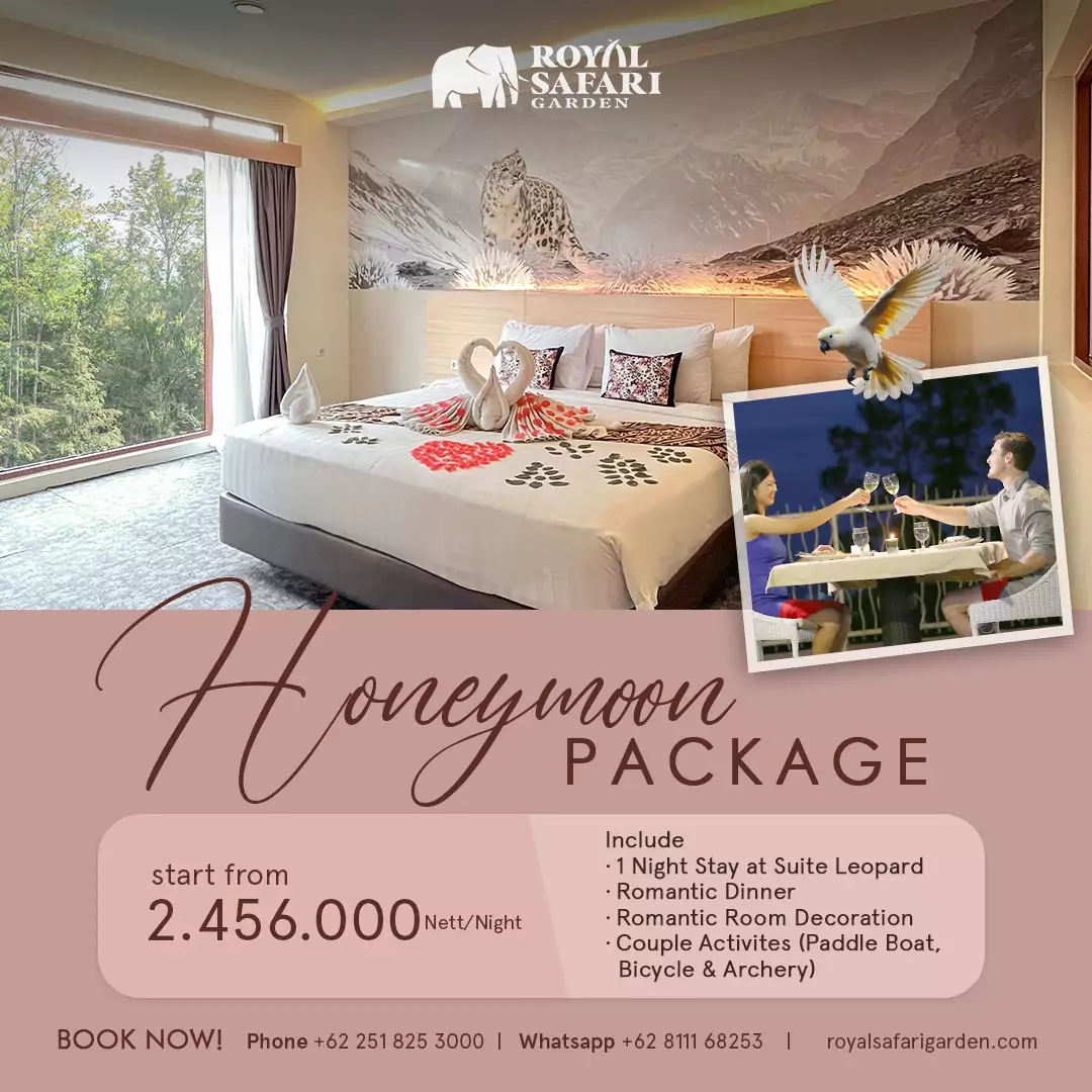 Honeymoon Package kotak