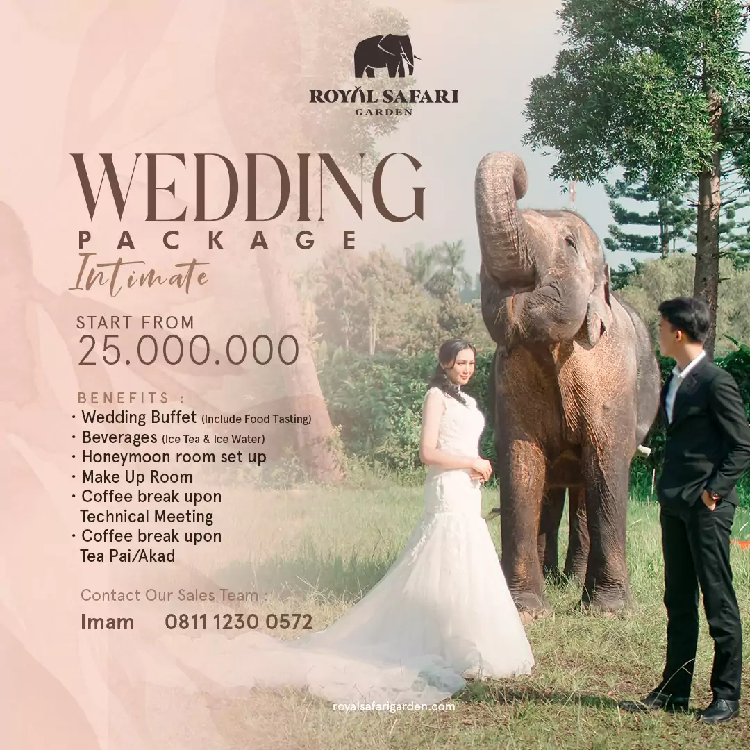 wedding package kotak
