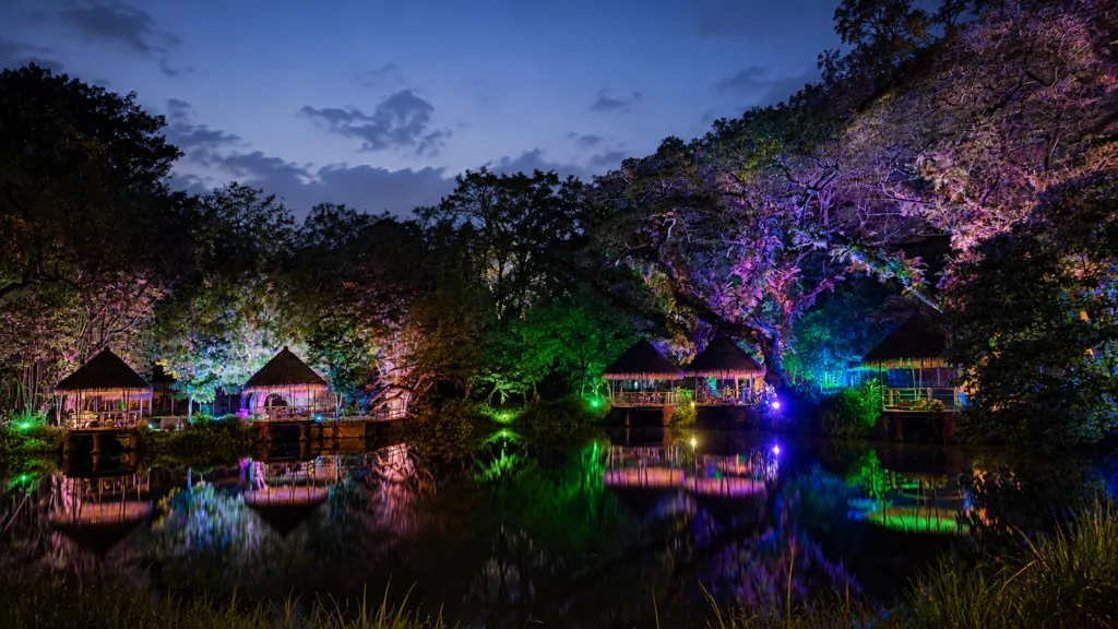Safari Vibes Magical Jungle (3)