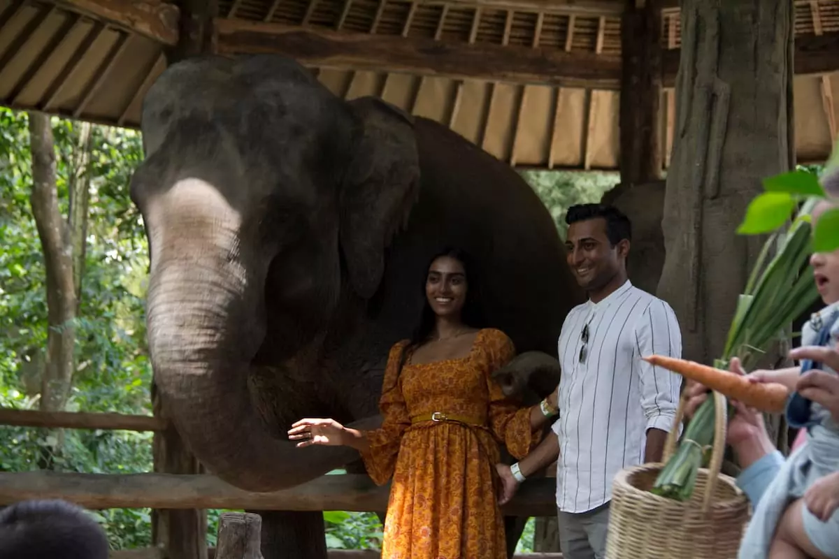 Creative Zoo Birthday Ideas with Memorable Animal Encounters