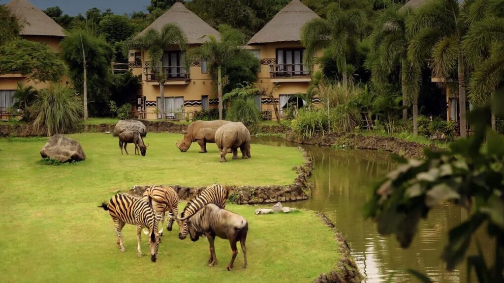 Hotel di Gianyar Bali dengan Pemandangan Satwa Liar