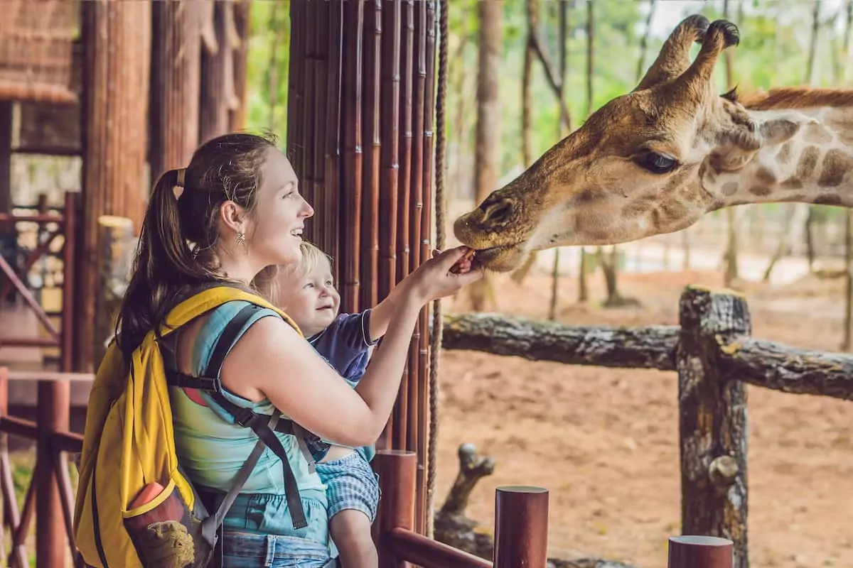 Make Family Memories at Taman Safari Bali