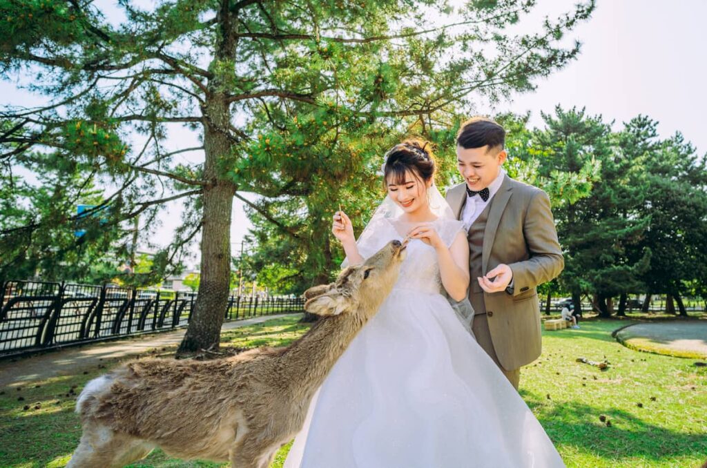 Plan a Dream Safari Wedding at Taman Safari Bali