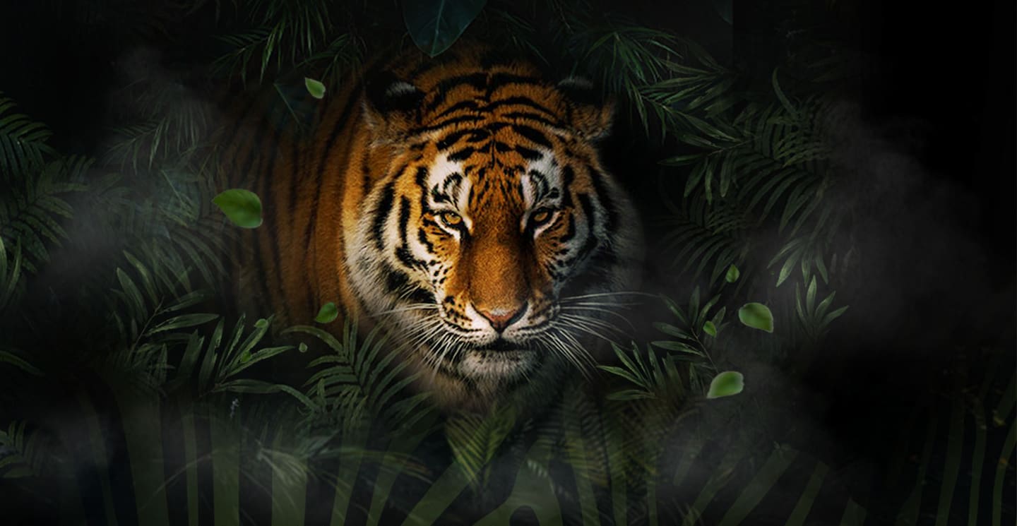 Your Guide to Night Safari Bali Prices and Experiences