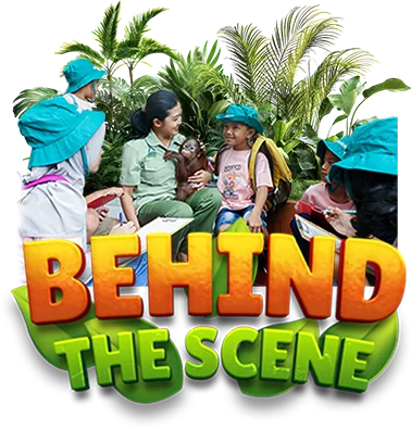 PICTURE BUTTON BEHIND THE SCENE