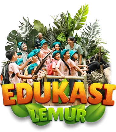 PICTURE BUTTON EDUKASI LEMUR