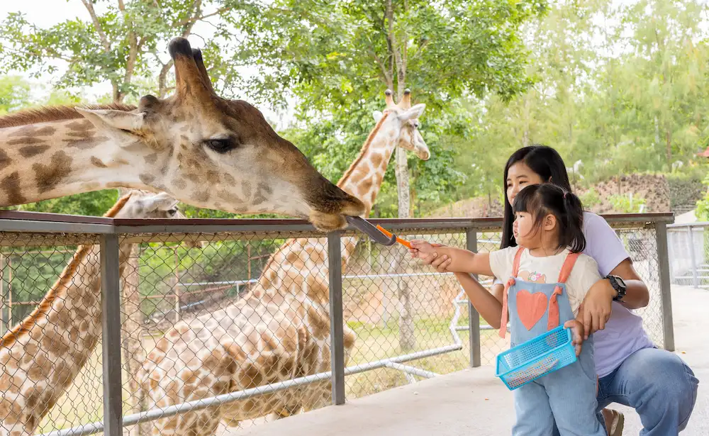 Best Places to Visit in Bogor for Families with Children