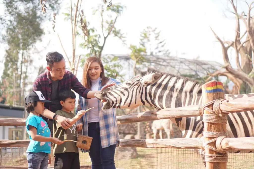 Taman Safari Trip