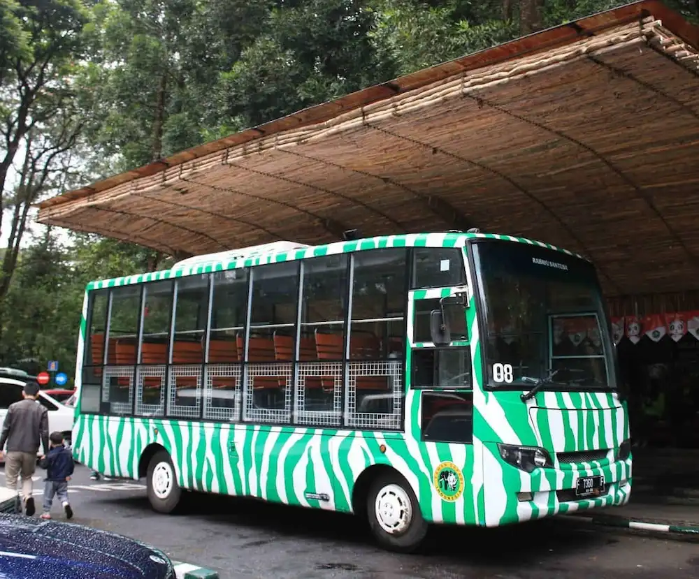 Best Time to Ride the Safari Bus at Taman Safari Bogor