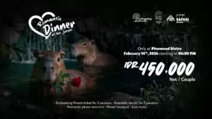Valentine at Enchanting Forest