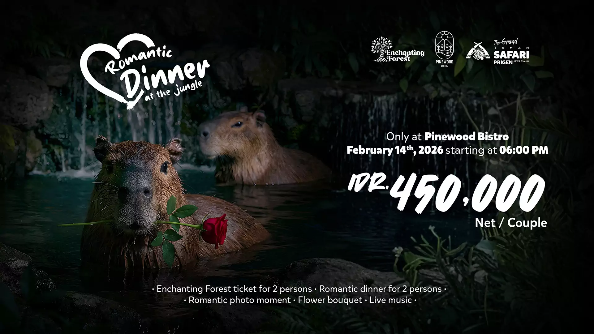 Valentine at Enchanting Forest