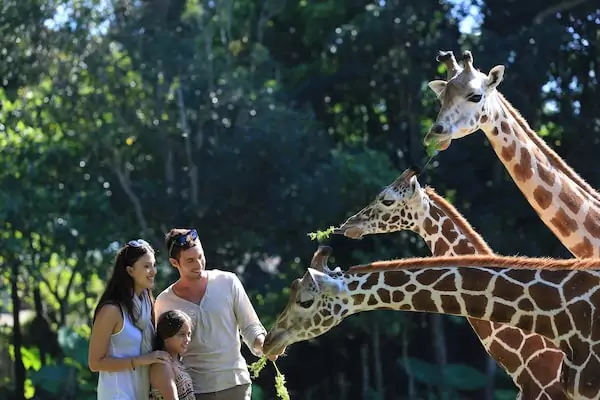 Mana yang Lebih Cocok untuk Keluarga dengan Anak-Anak