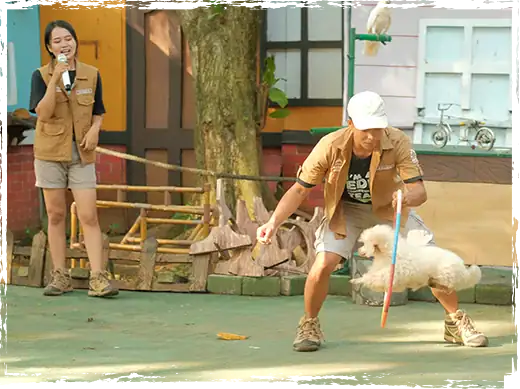 Menyaksikan Satwa Lucu dan Menggemaskan di Beach Safari Batang