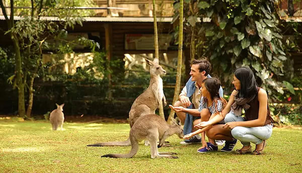 Wahana Edukasi Baby Zoo