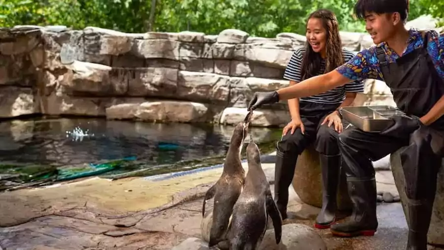 top-family-adventures-in-bali-for-an-unforgettable-vacation