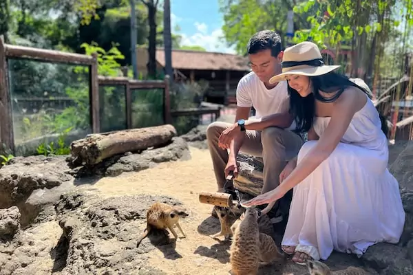 A Perfect Safari and Beach Getaway for Couples