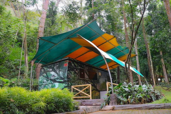 comfortable family stays at safari resort