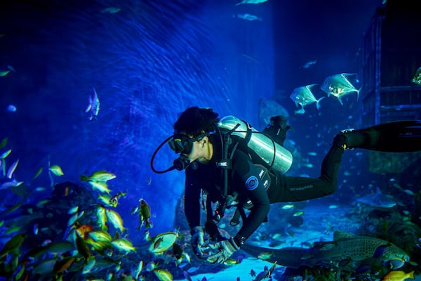 marine-conservations-impact--