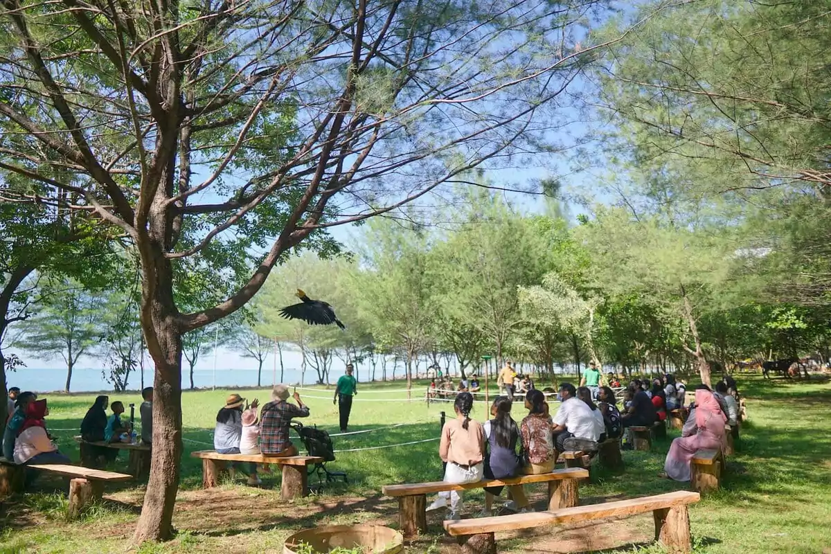 nikmati liburan seru & edukatif di beach safari batang