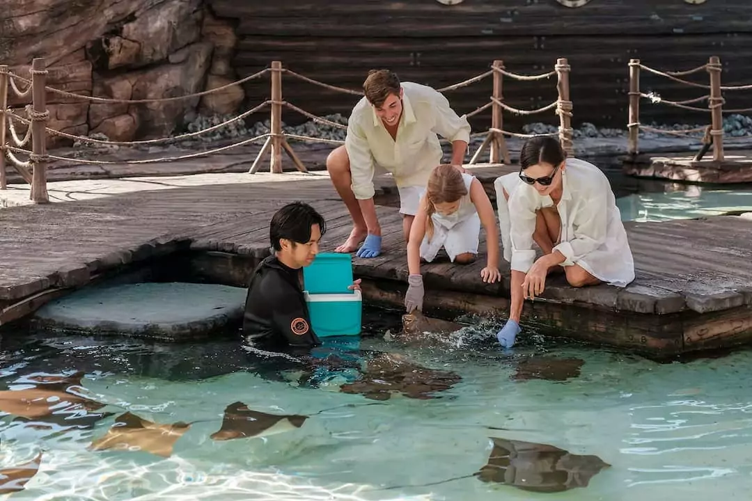 unforgettable-family-fun-at-marine-safari-bali