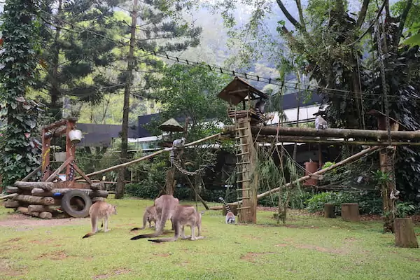 why families love taman safari bogor