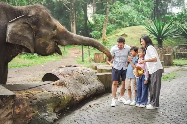 Aktivitas dan Harga Tiket Safari Trek