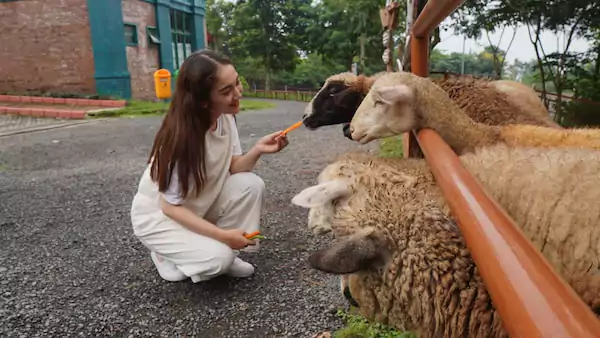 Interactive Attractions for Learning and Exploration