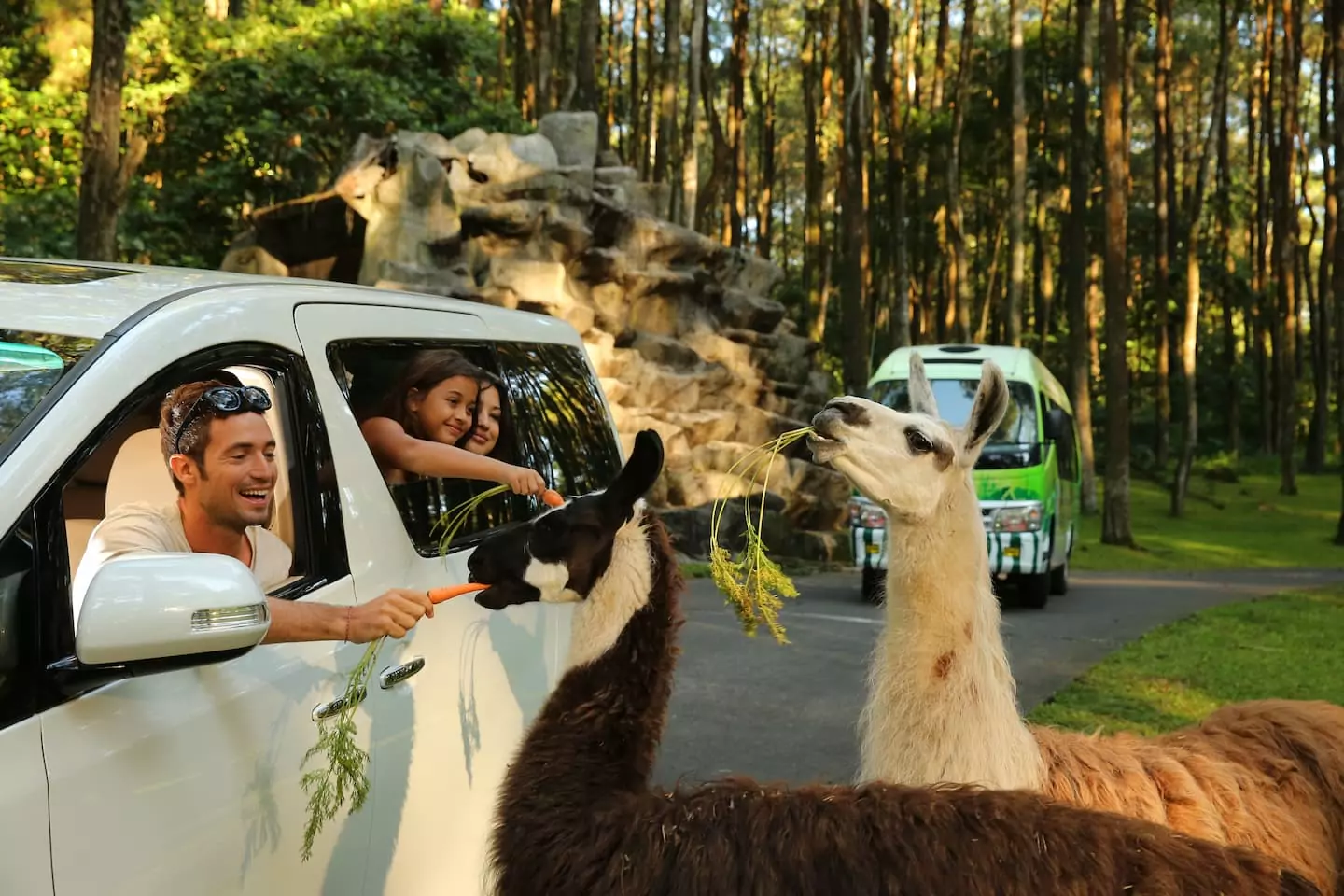 Memorable Family Journeys at Taman Safari Prigen