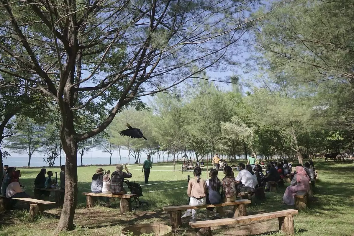 Pilihan Wisata Bahari Terbaik di Indonesia