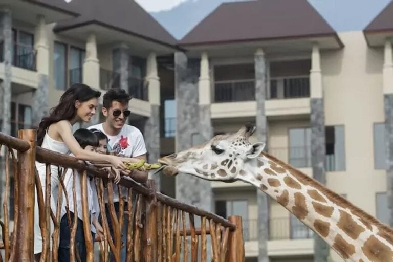 The Best East Java Tourist Attractions for Families