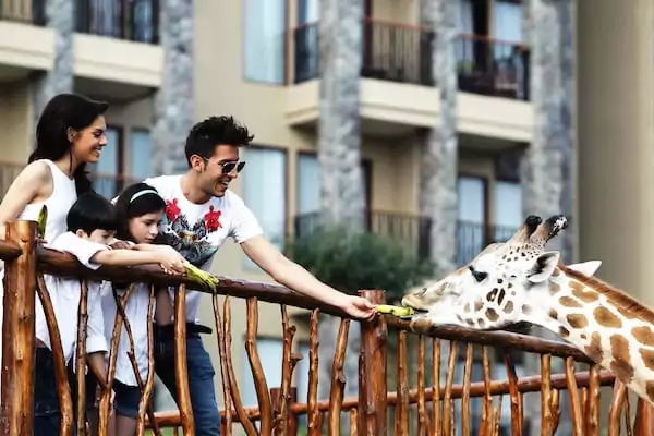 Tips for a Comfortable Family Visit