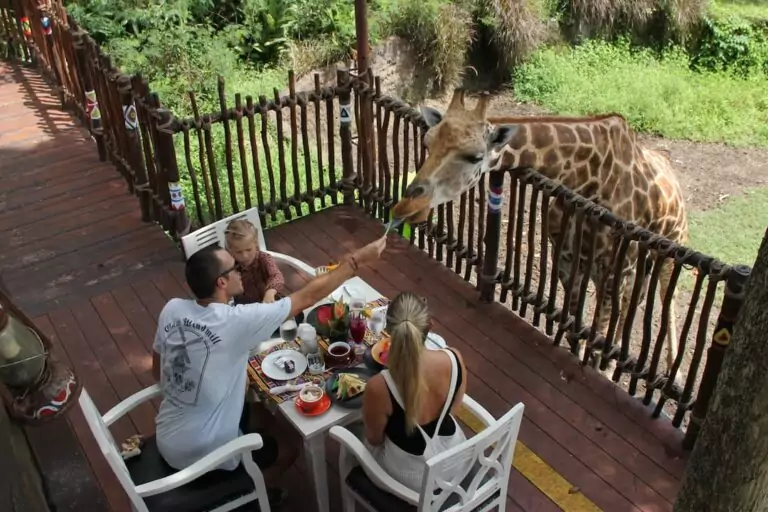 Best Family Activities to do in Bali with Kids