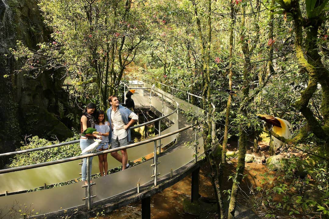 Cari Ide Liburan Keluarga Intip Tempat Wisata Bogor ini