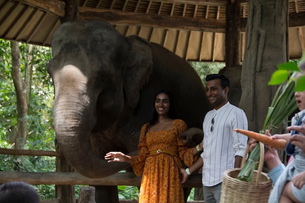 Wildlife Encounters at Taman Safari Bali