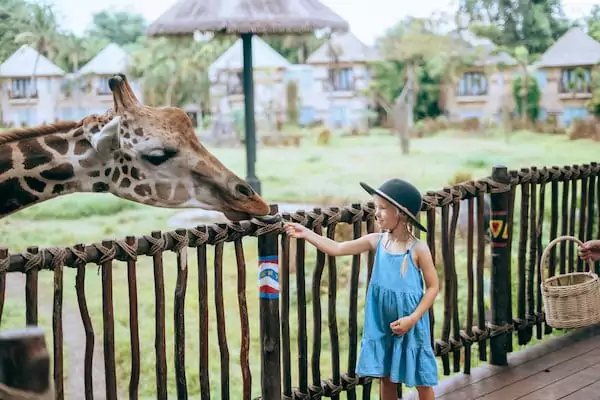 Wildlife Encounters at Taman Safari Bali