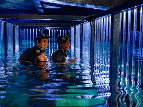 Wildlife Tourism at the Heart of Bali