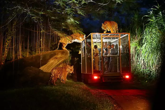 Eksplorasi Dunia Satwa Liar di Taman Safari Bali