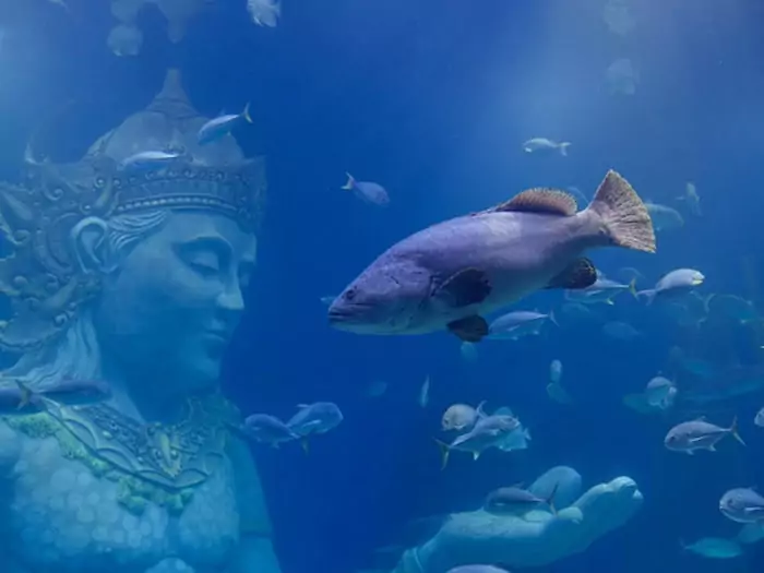 Keajaiban Dunia Bawah Laut di Marine Safari Bali