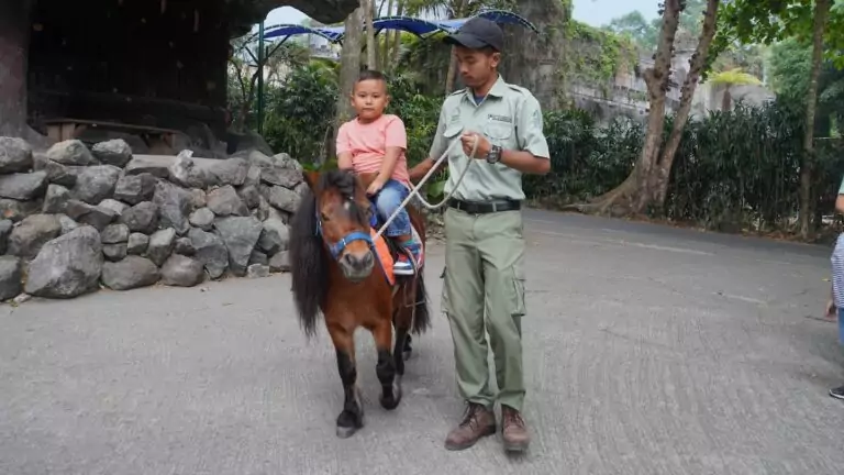 Panduan Memilih Tempat Wisata Anak di Bogor untuk Tumbuh Kembang ()