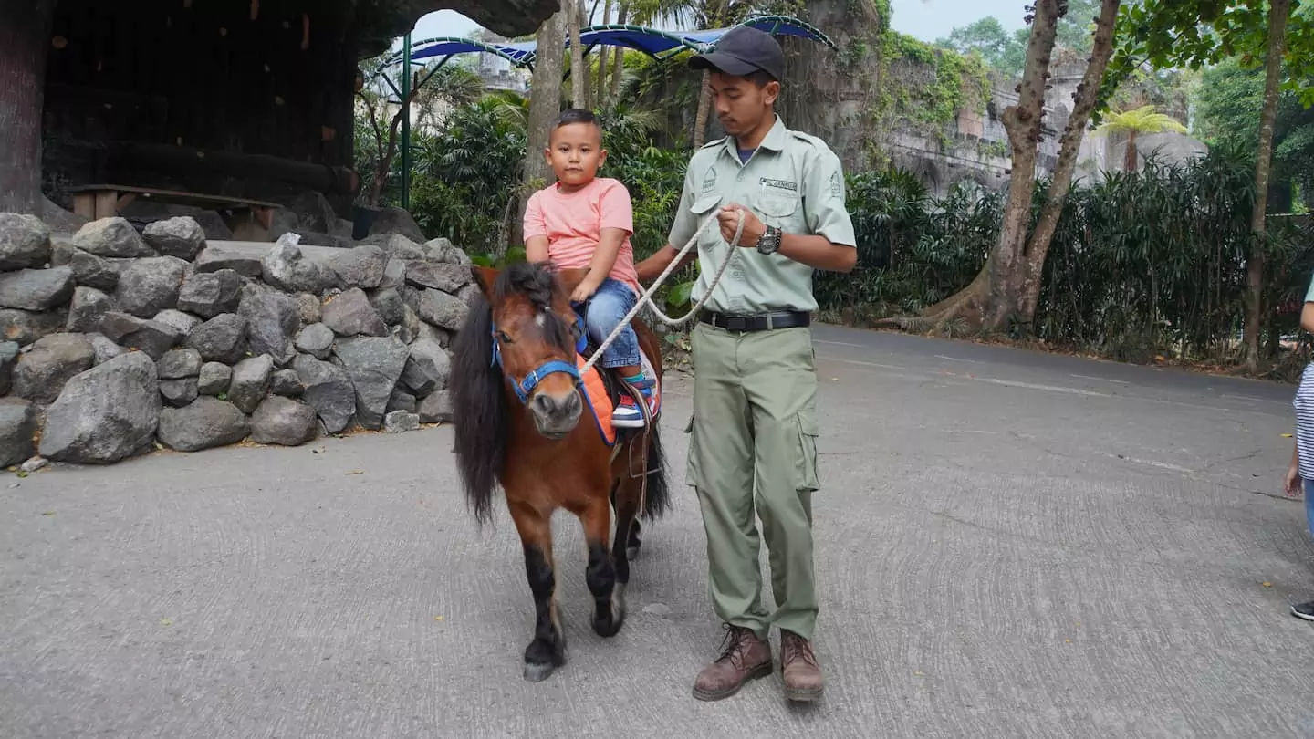 Panduan Memilih Tempat Wisata Anak di Bogor untuk Tumbuh Kembang ()