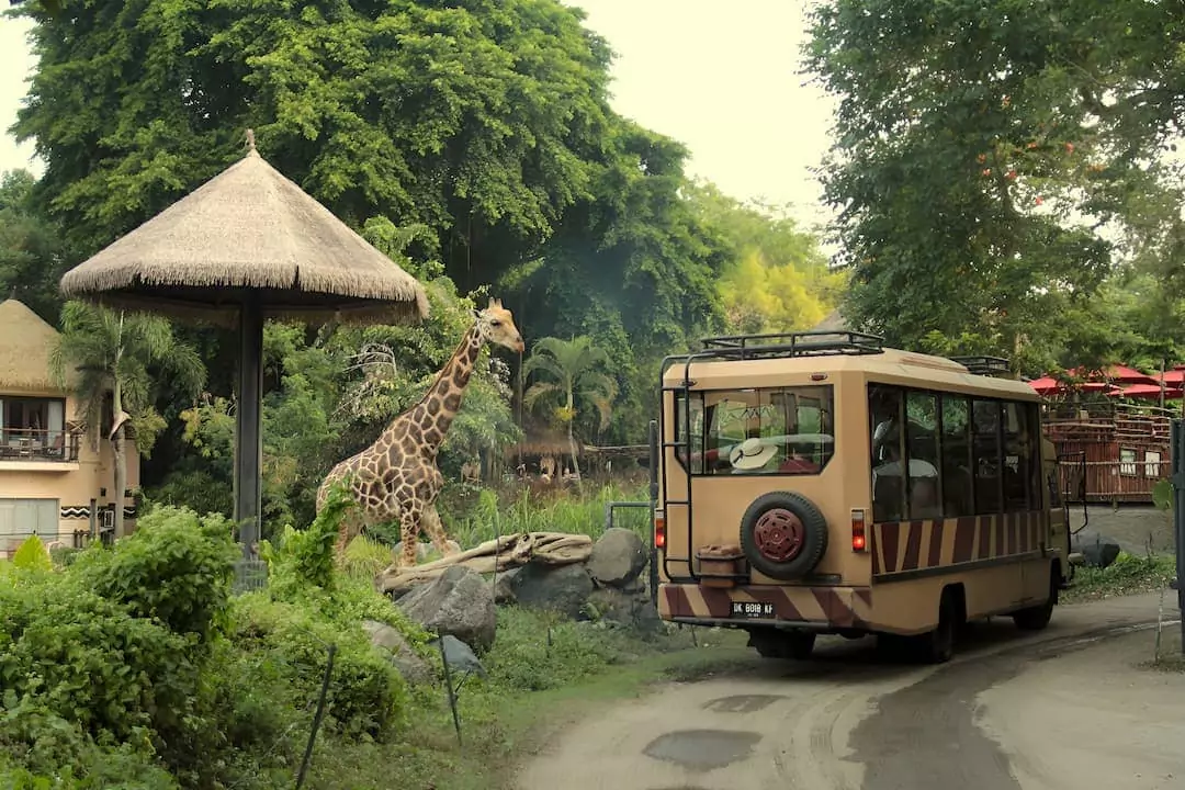 Rekomendasi Tempat Wisata di Bali Ramah Anak Paling Edukatif