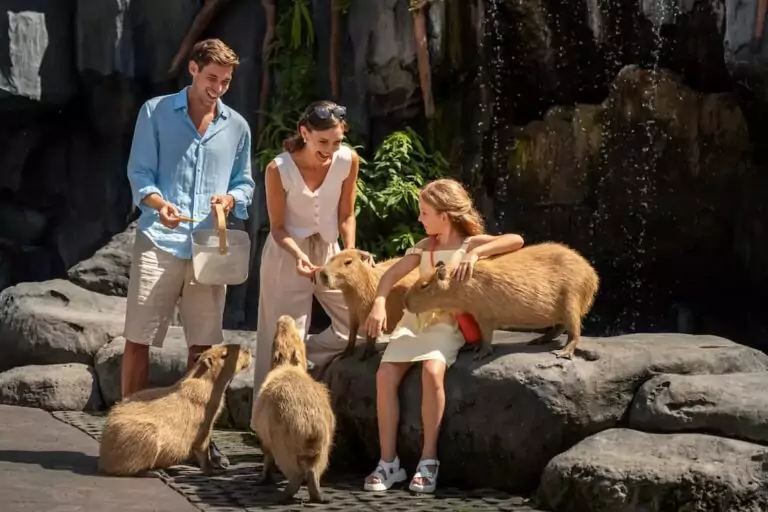 The Science Behind the Calm Nature of the Capybara