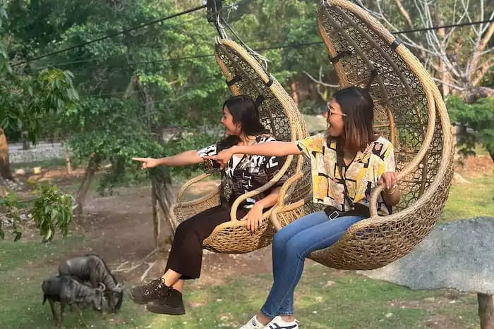 Thrilling Adventures and Rides for All Ages