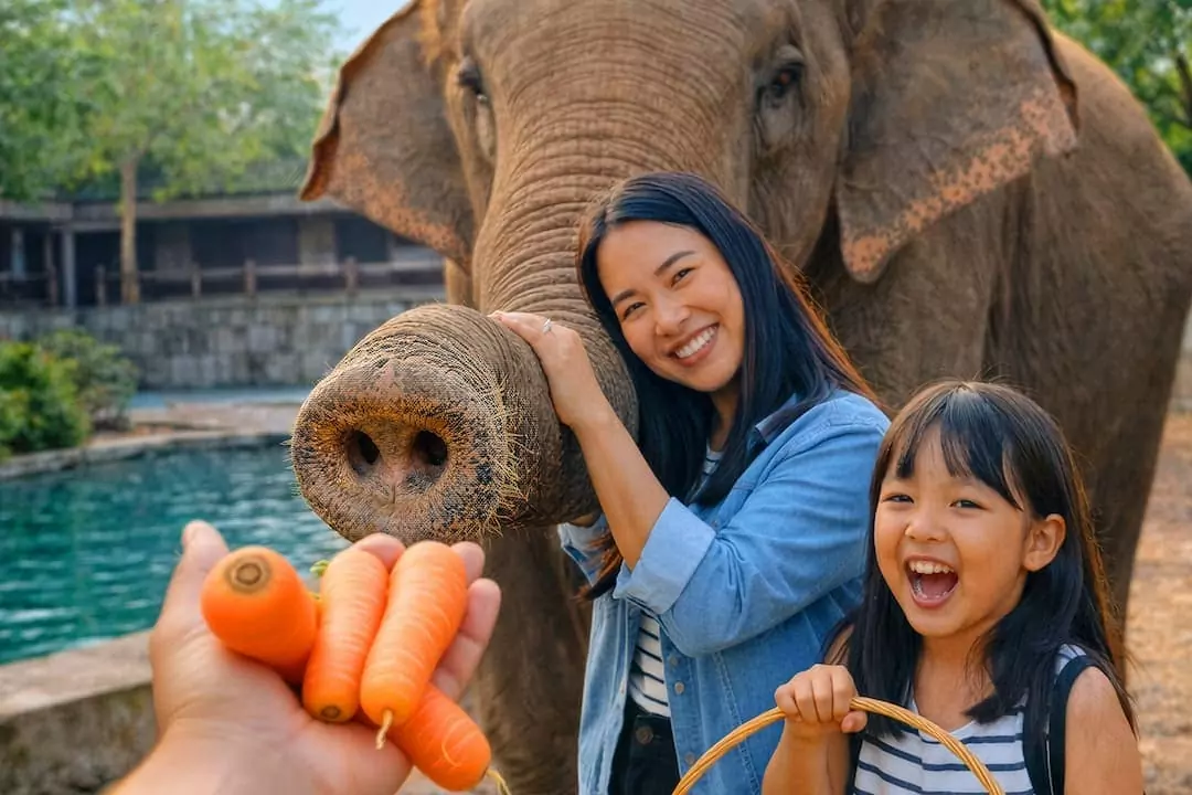 what-to-expect-at-solo-safari